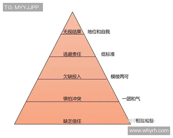 深圳排球队团队协作的创新变革与热议探讨 深圳排球队团队协作的创新变革与热议探讨
