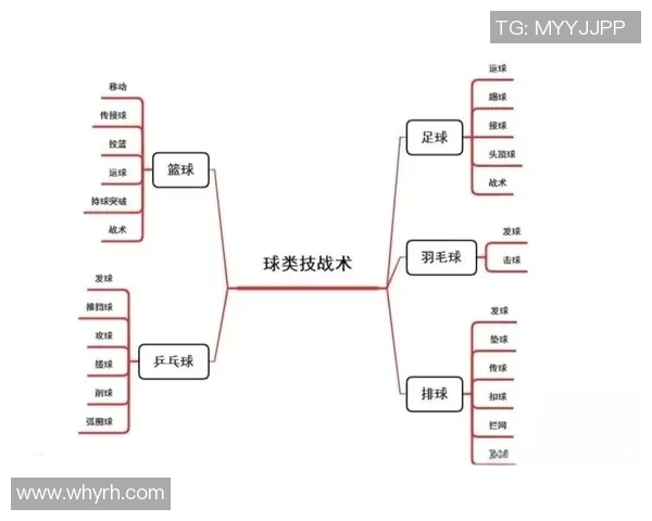 南京篮球队战术分析：从比赛表现看球队未来发展潜力