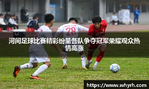 河间足球比赛精彩纷呈各队争夺冠军荣耀观众热情高涨