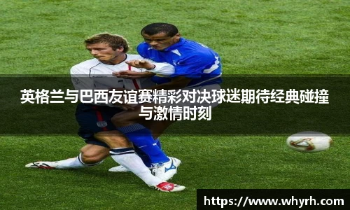 星空·综合体育中国官网