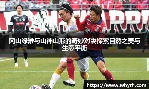 星空·综合体育官方网站